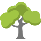 Elk River Tree Removal