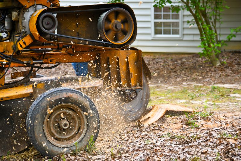 Stump Grinding Experts